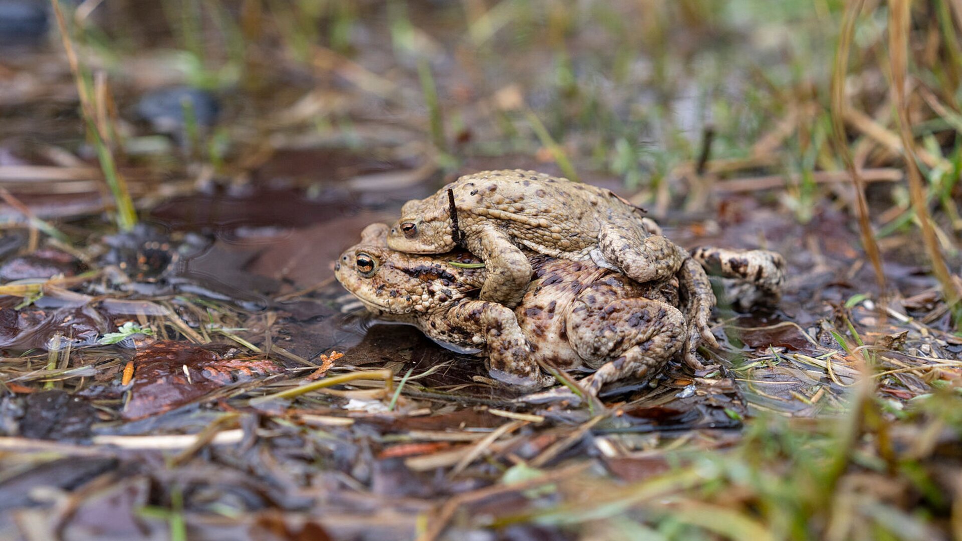 © Bund Naturschutz © Bund Naturschutz