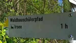Waldbauschülerpfad Kaufbeuren-Irsee | © Kaufbeuren