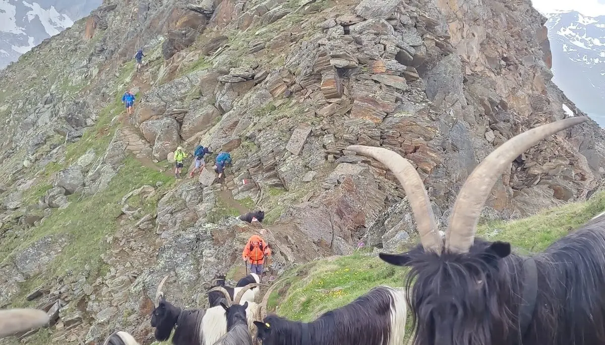 © DAV/Dr. Ralf Ebner