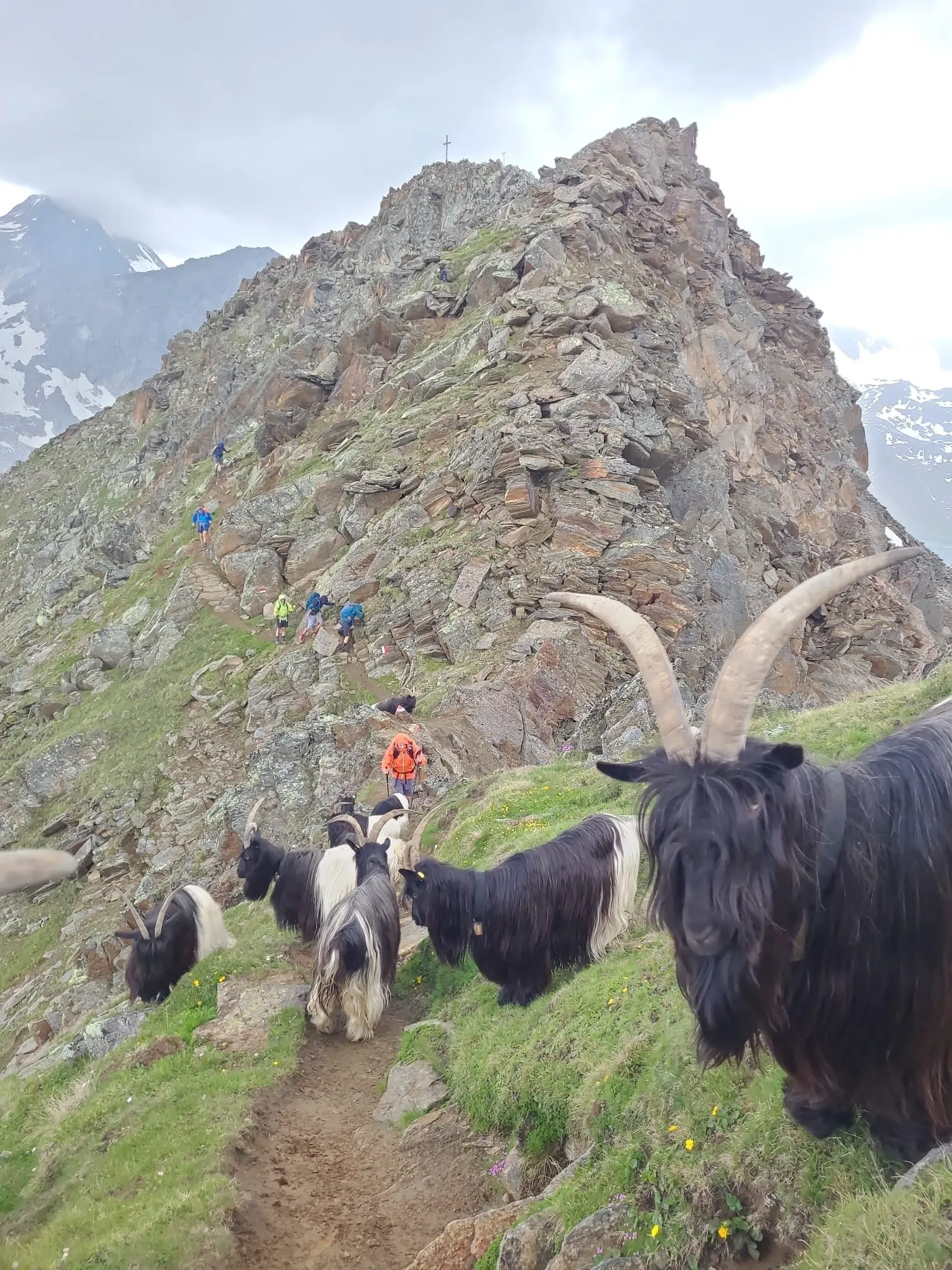 © DAV/Dr. Ralf Ebner