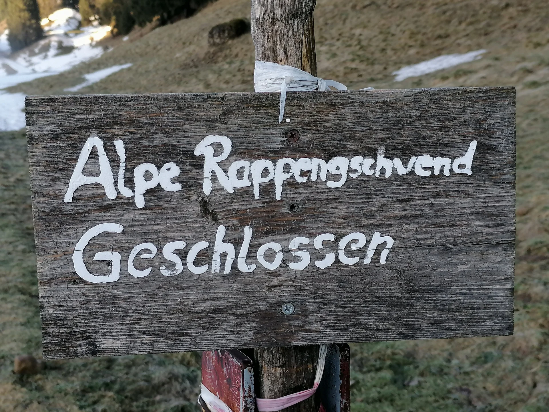 © Friederike Deschler