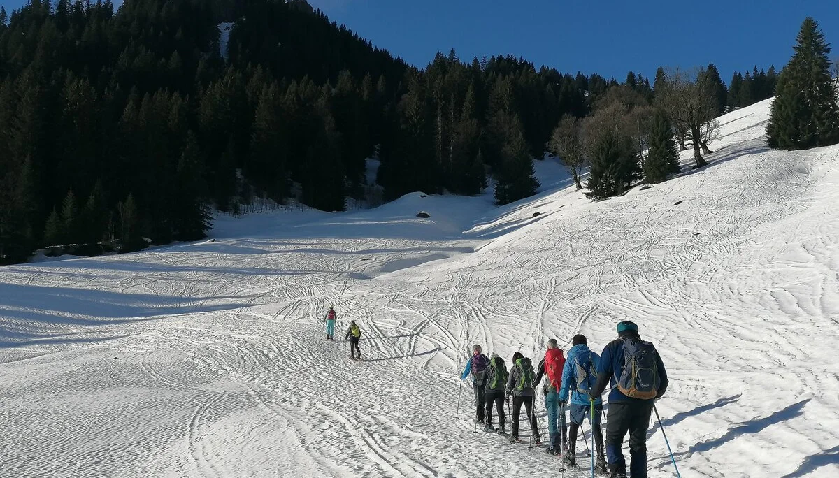 Immer schön in einer Reihe abwärts | © Friederike Deschler