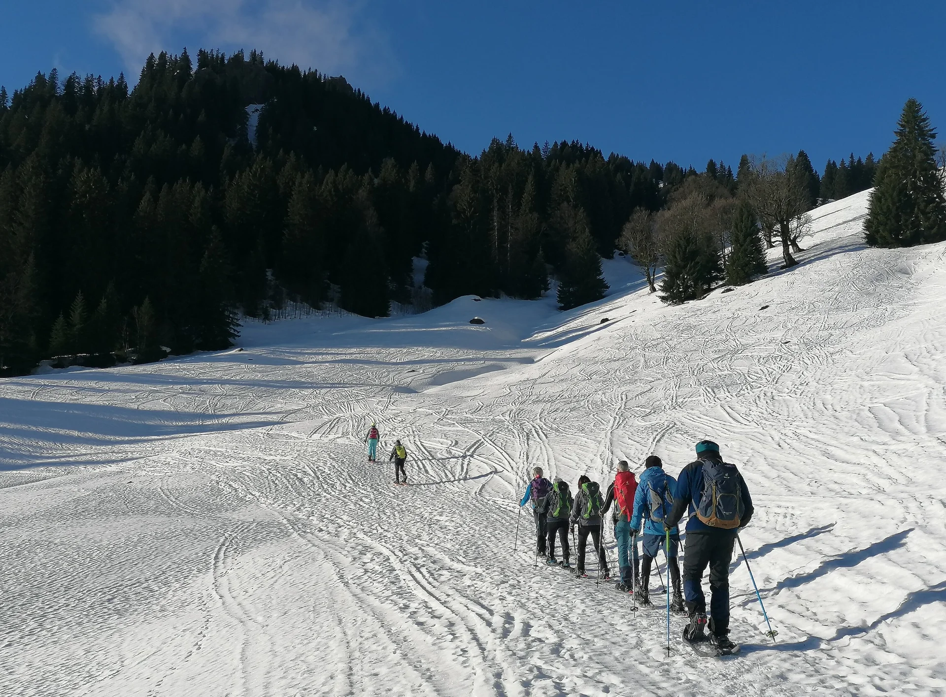 Immer schön in einer Reihe abwärts | © Friederike Deschler