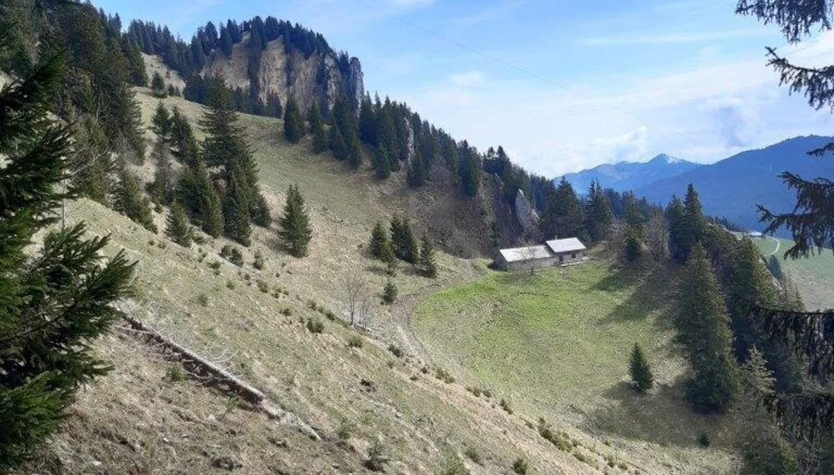 Zweifelgehrnalpe | © DAV/Hans Durst