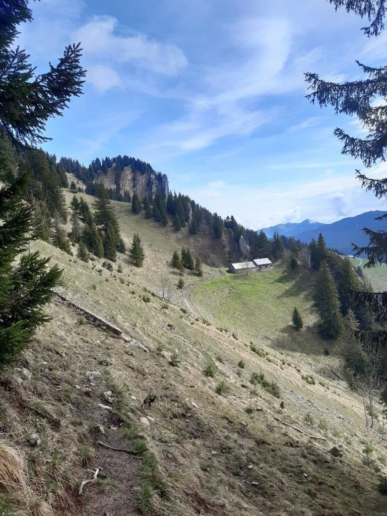 Zweifelgehrnalpe | © DAV/Hans Durst