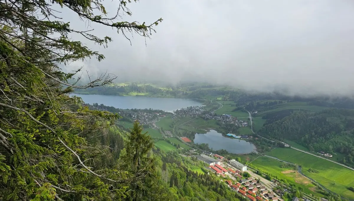 Blick nach Immenstadt auf großen und kleinen Alpsee | © Daniela Nördinger