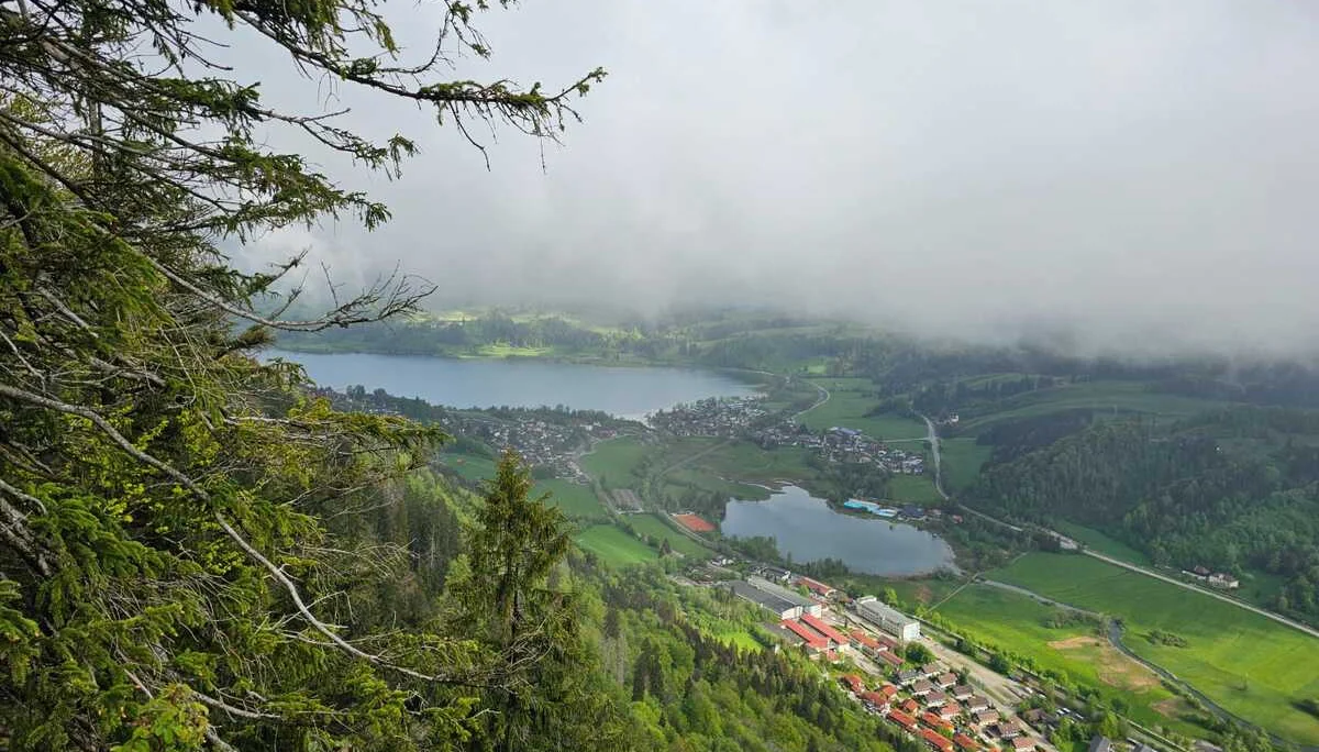 Blick nach Immenstadt auf großen und kleinen Alpsee | © Daniela Nördinger