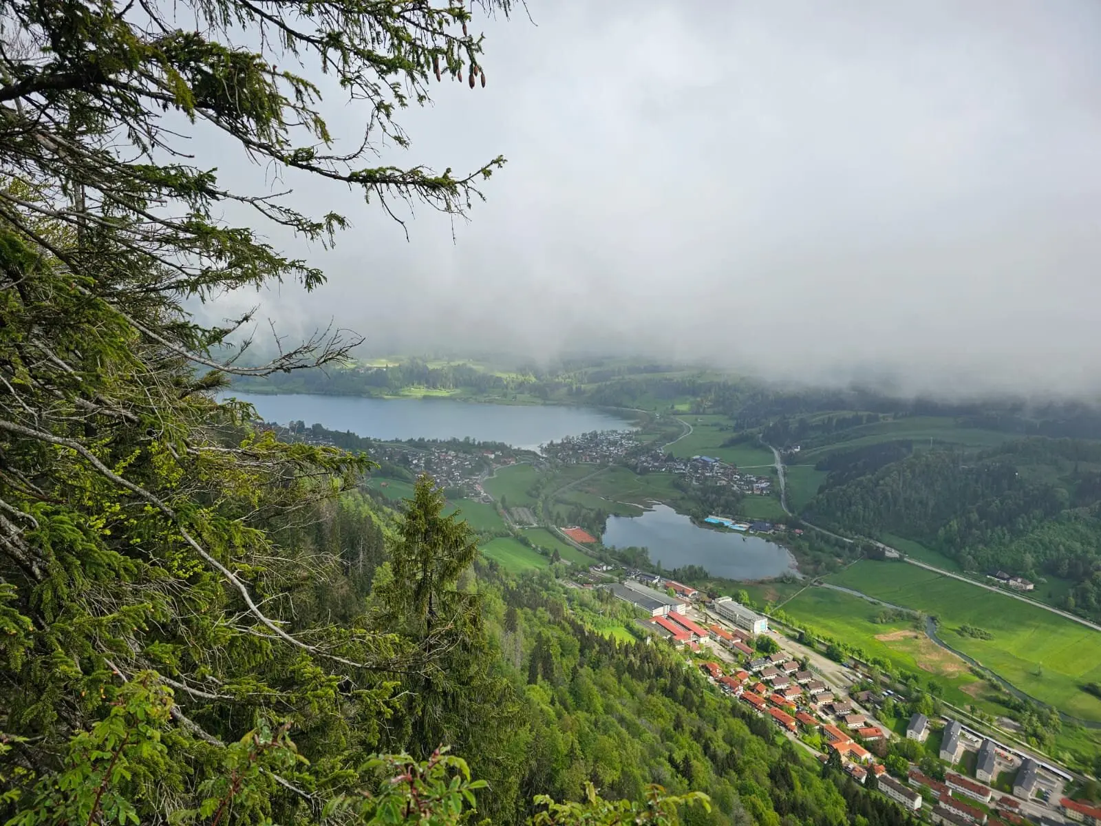 Blick nach Immenstadt auf großen und kleinen Alpsee | © Daniela Nördinger