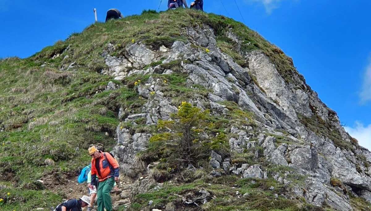 Abstieg über den Gamsbocksteig | © Max Bollwein