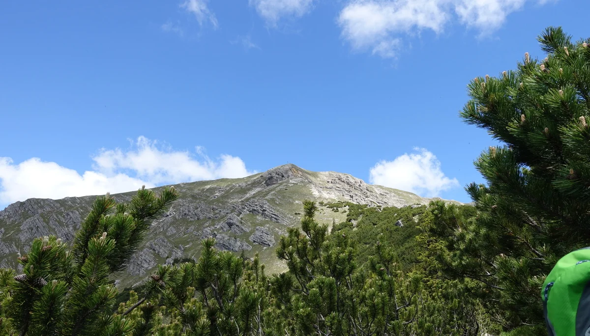 Das ist unser Ziel - Gipfelkreuz Geierkopf | © DAV/Hans Durst