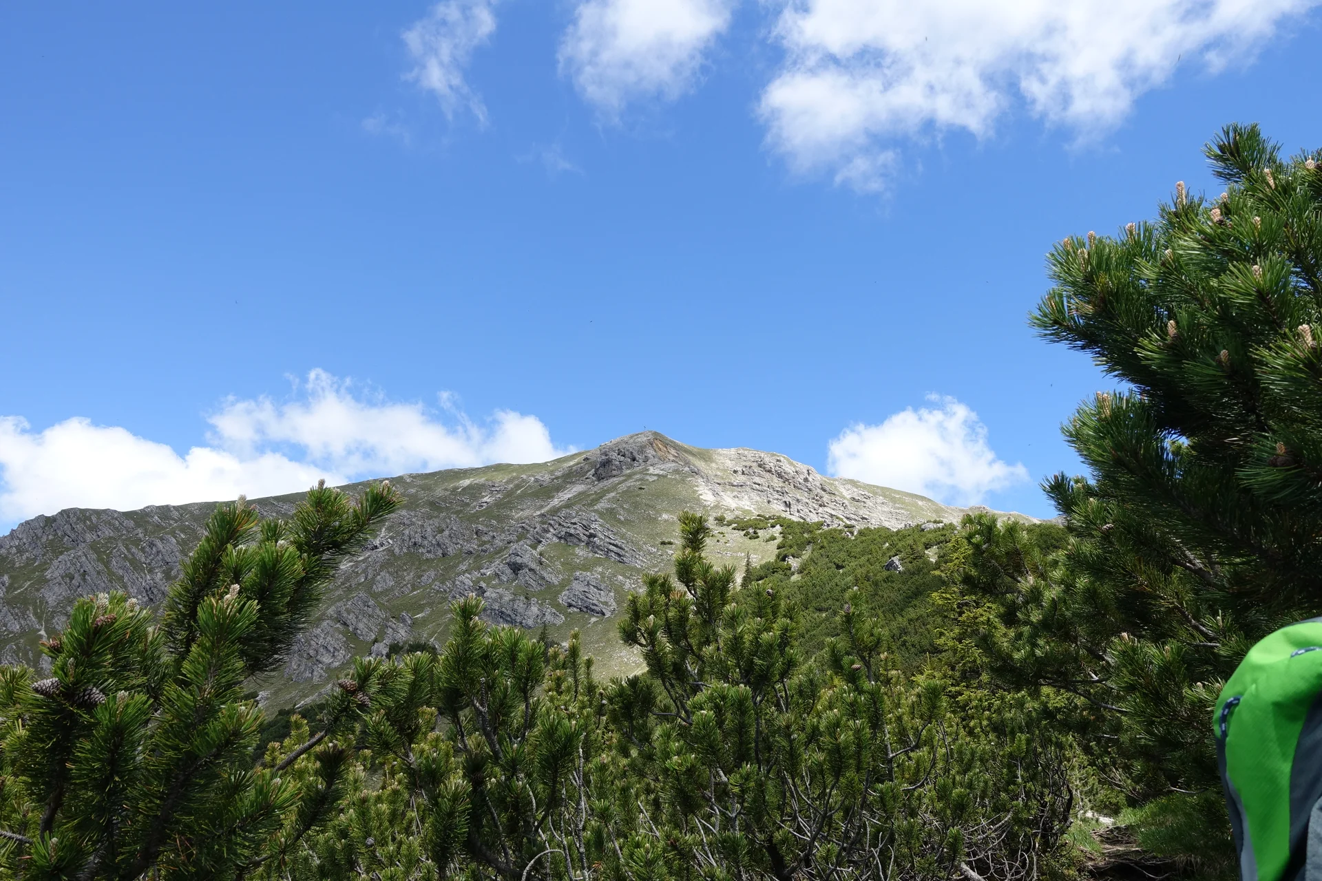 Das ist unser Ziel - Gipfelkreuz Geierkopf | © DAV/Hans Durst