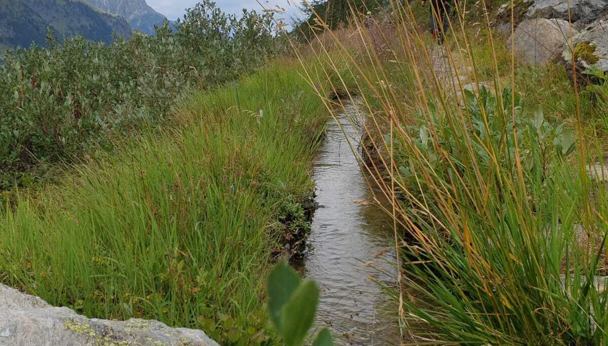 Walweg - Abstieg von der Frischmann Hütte | © Markus Tietze