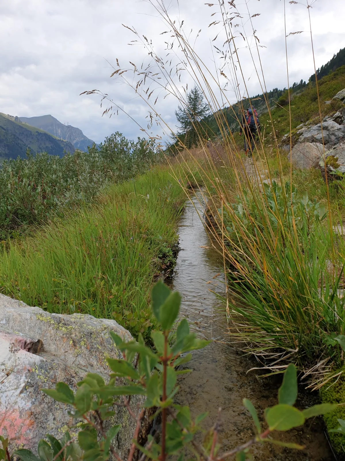 Walweg - Abstieg von der Frischmann Hütte | © Markus Tietze