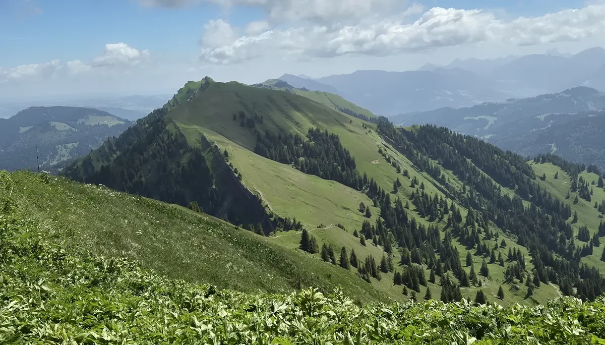 Von der Scheidwangalpe zum Rindalphorn und Hochgrat | © DAV/Elisabeth Kuhne