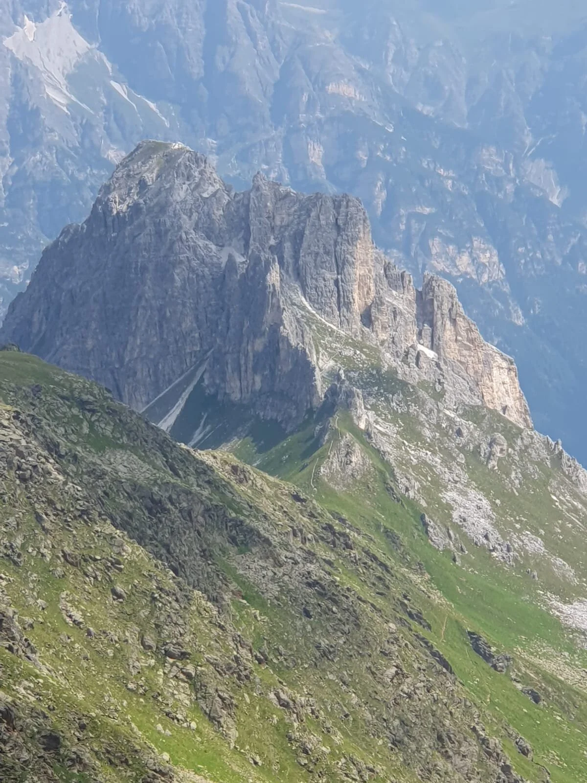 Gargglerin von der Pflerscher Scharte | © DAV/Hanns-Peter Rehle