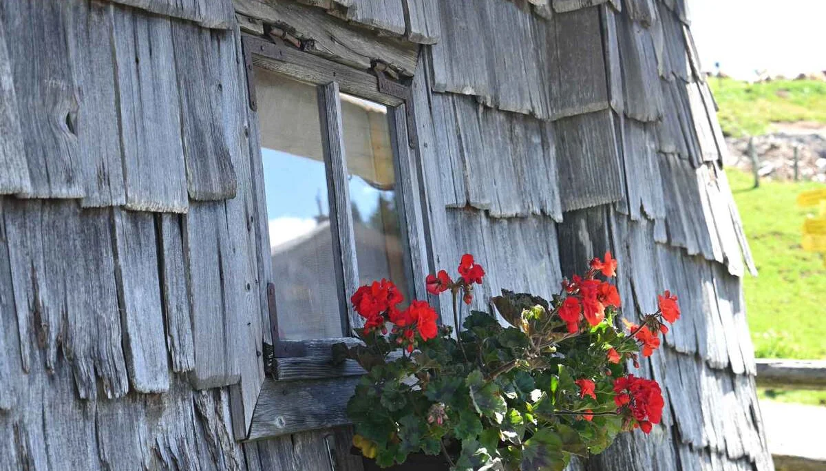 © DAV/Markus Stumpe