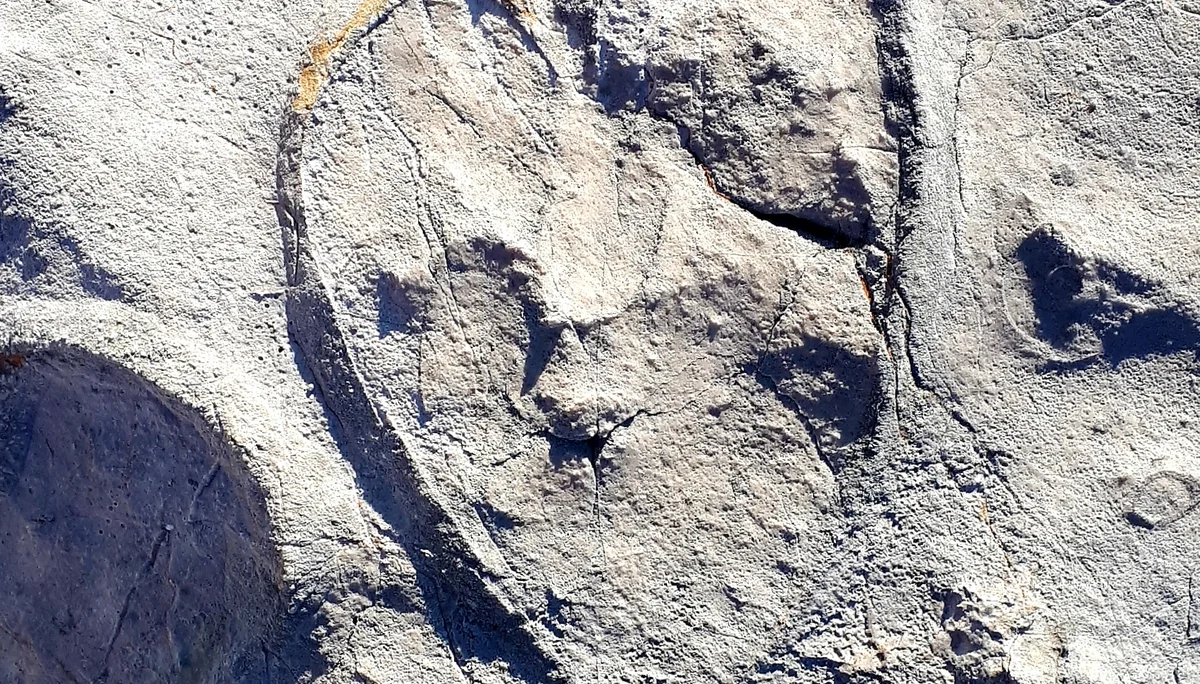 Kuhfuß Fossilien | © DAV/Barbara Löffler