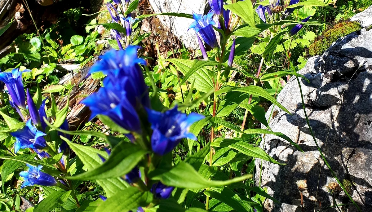 wieder zurück! | © DAV/Barbara Löffler