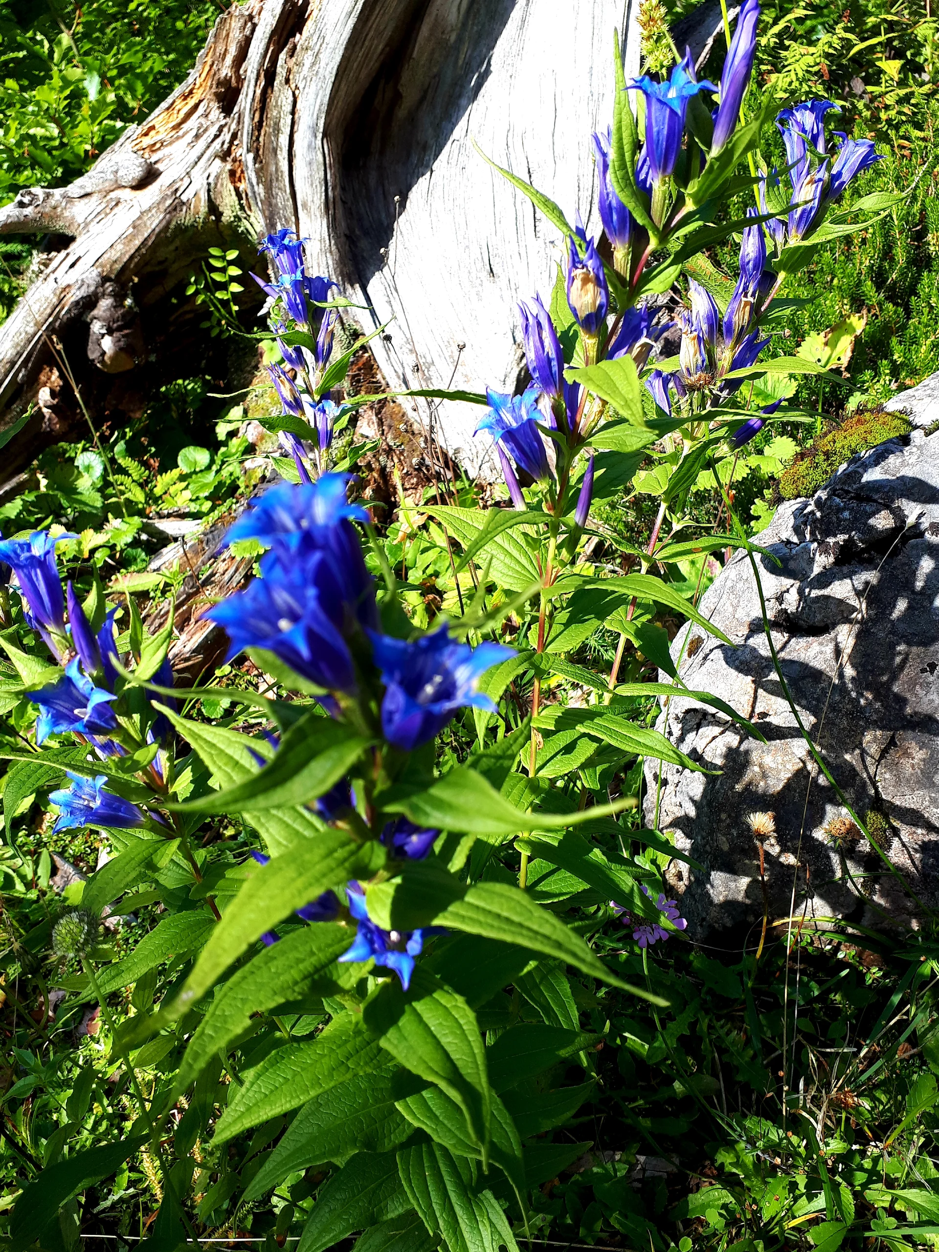 wieder zurück! | © DAV/Barbara Löffler