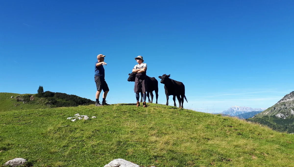 Kuh-munikation  | © DAV/Barbara Löffler