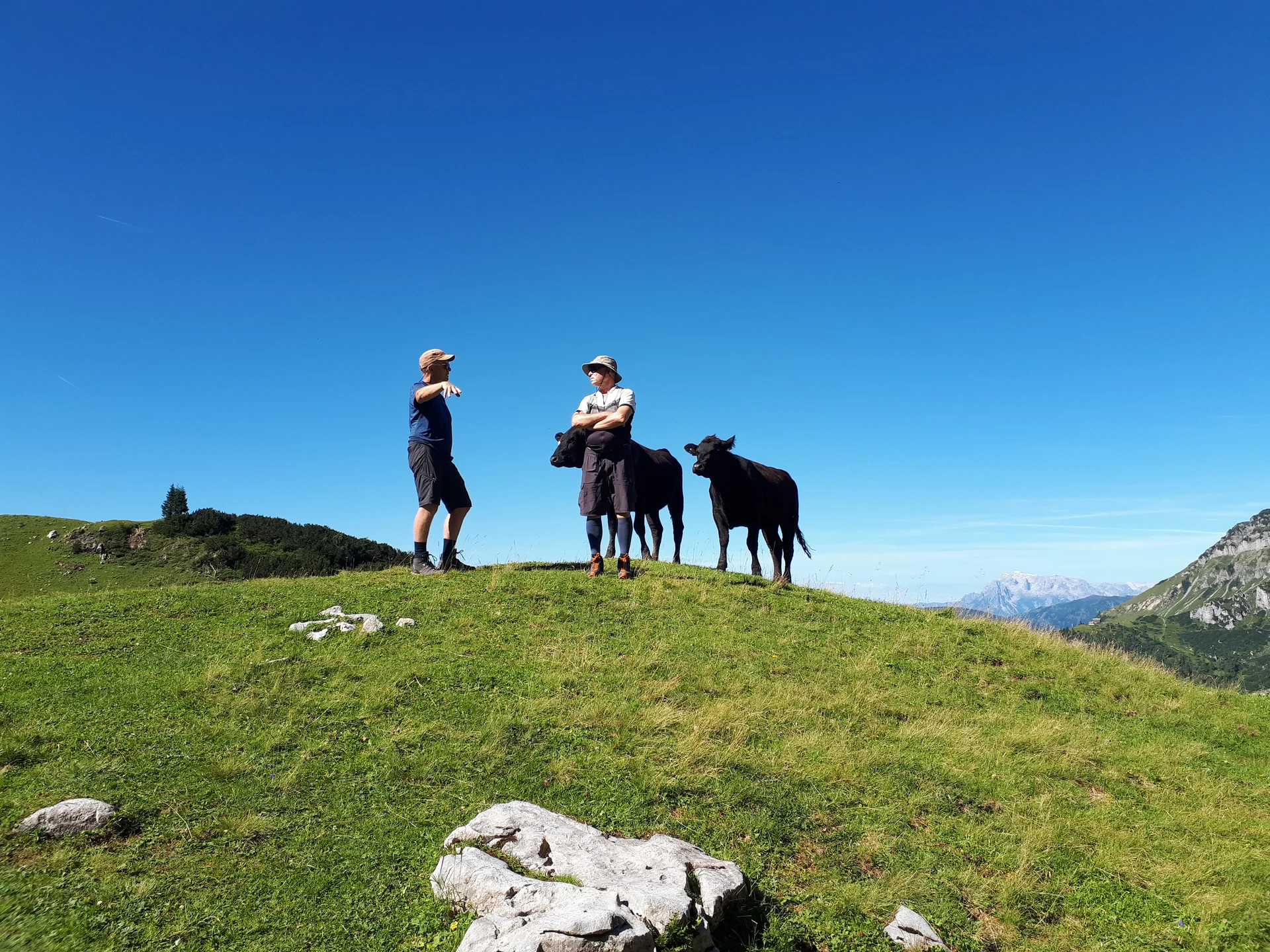 Kuh-munikation  | © DAV/Barbara Löffler