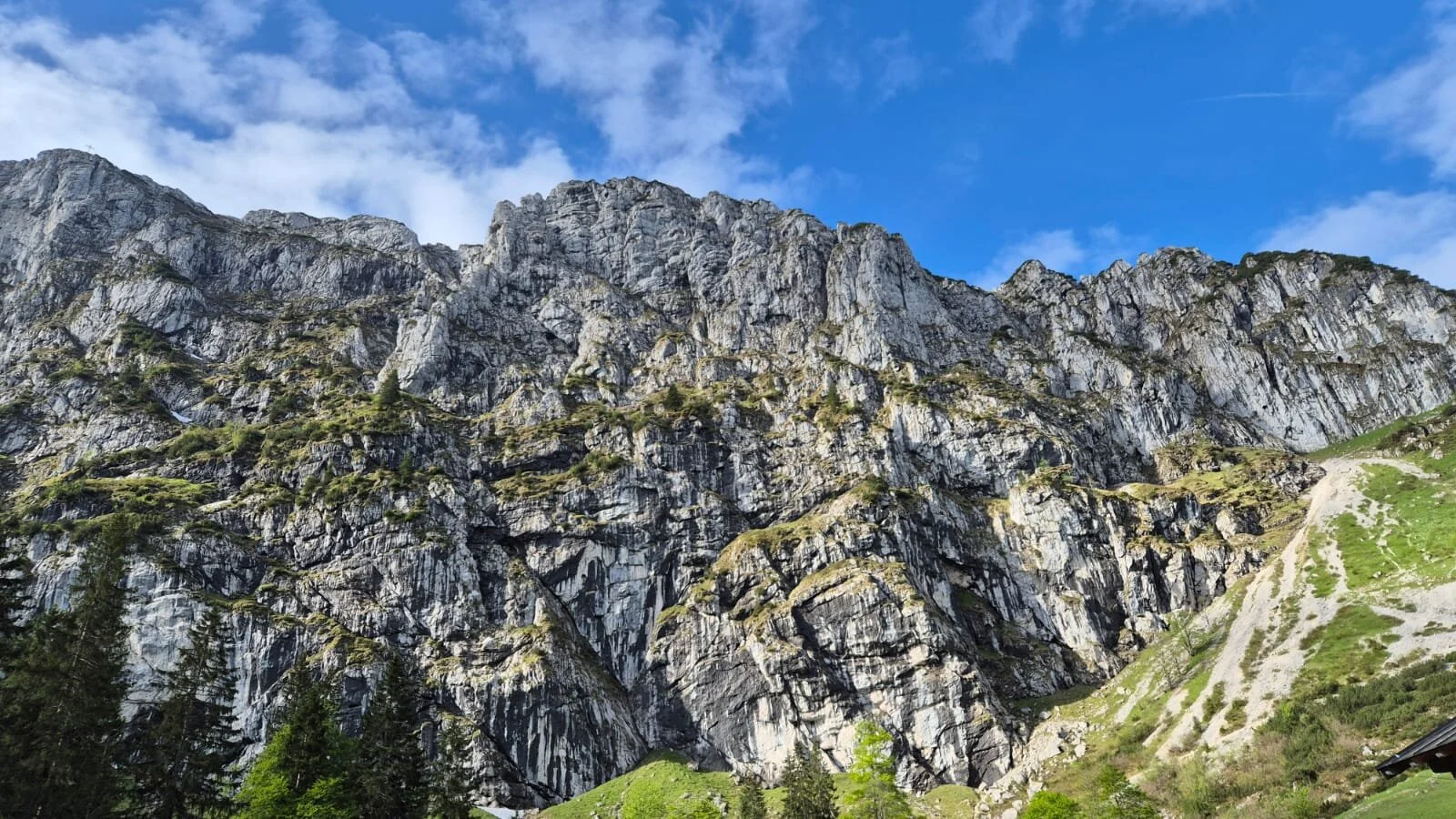 Benediktenwand | © DAV/Barbara Löffler