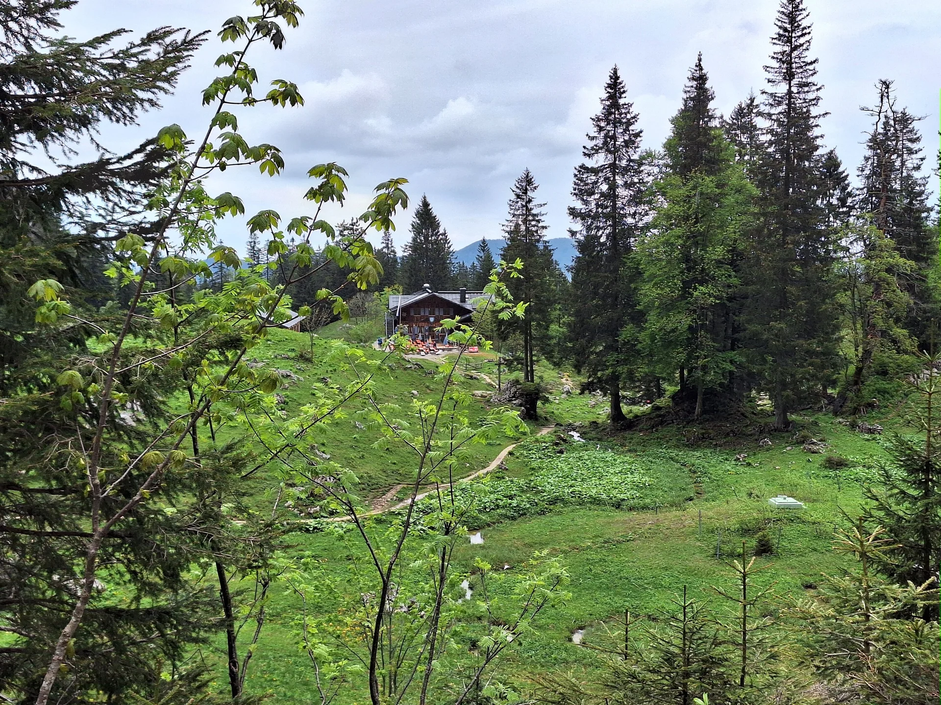 Weg zur Tutzinger Hütte | © DAV/Barbara Löffler