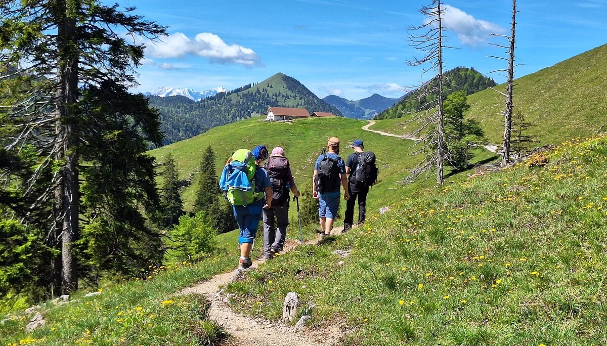 Auf dem Weg zur Staffelalm | © DAV/Barbara Löffler