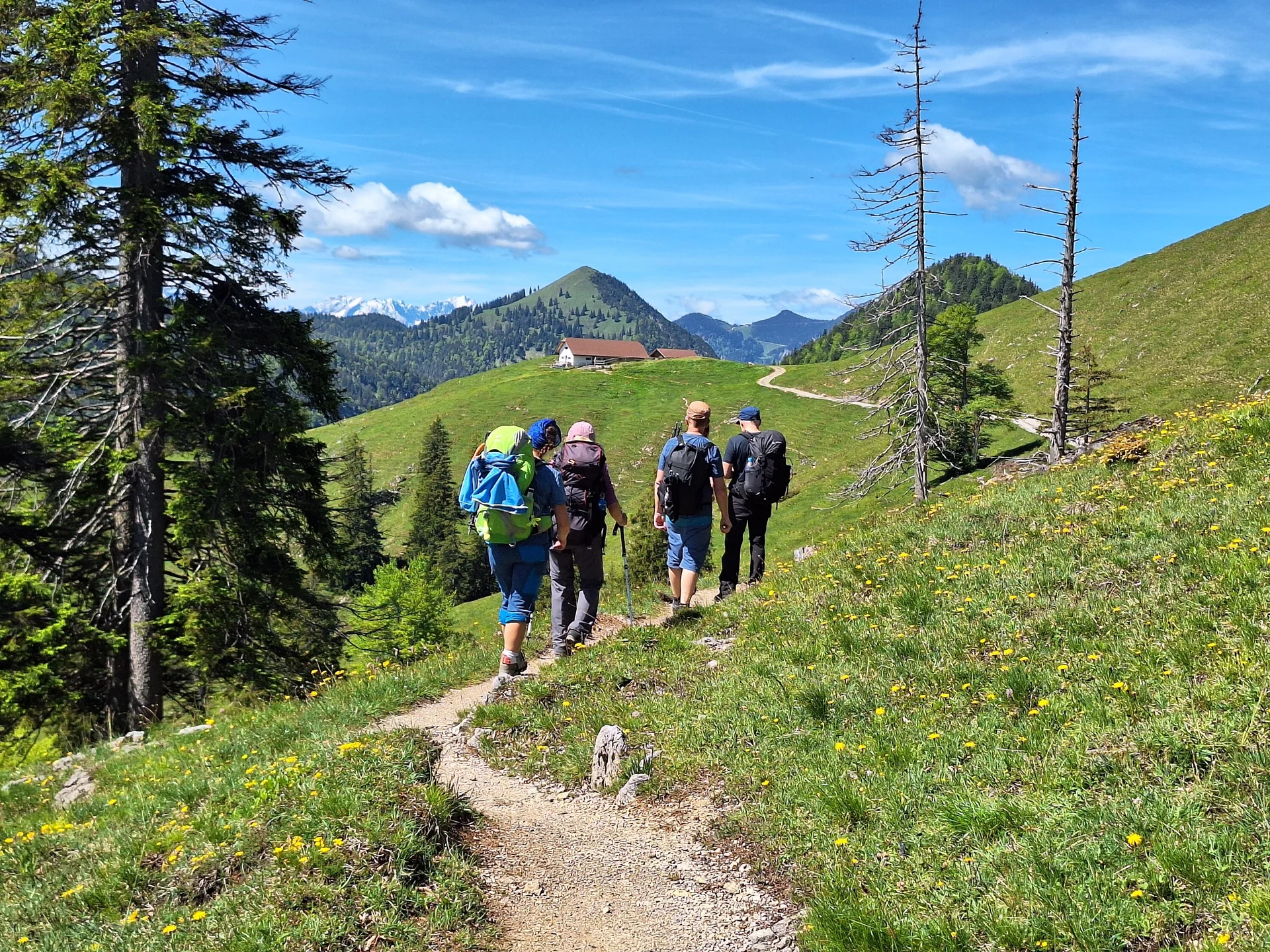 Auf dem Weg zur Staffelalm | © DAV/Barbara Löffler