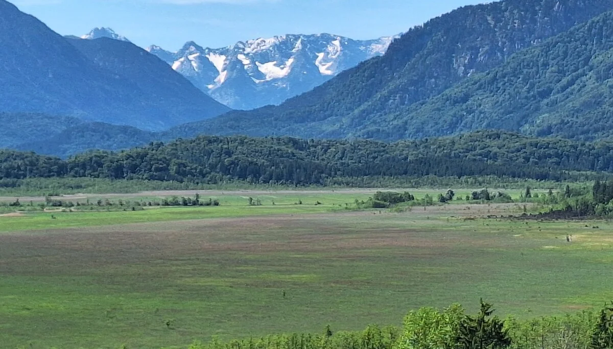 Murnauer Moos | © DAV/Barbara Löffler