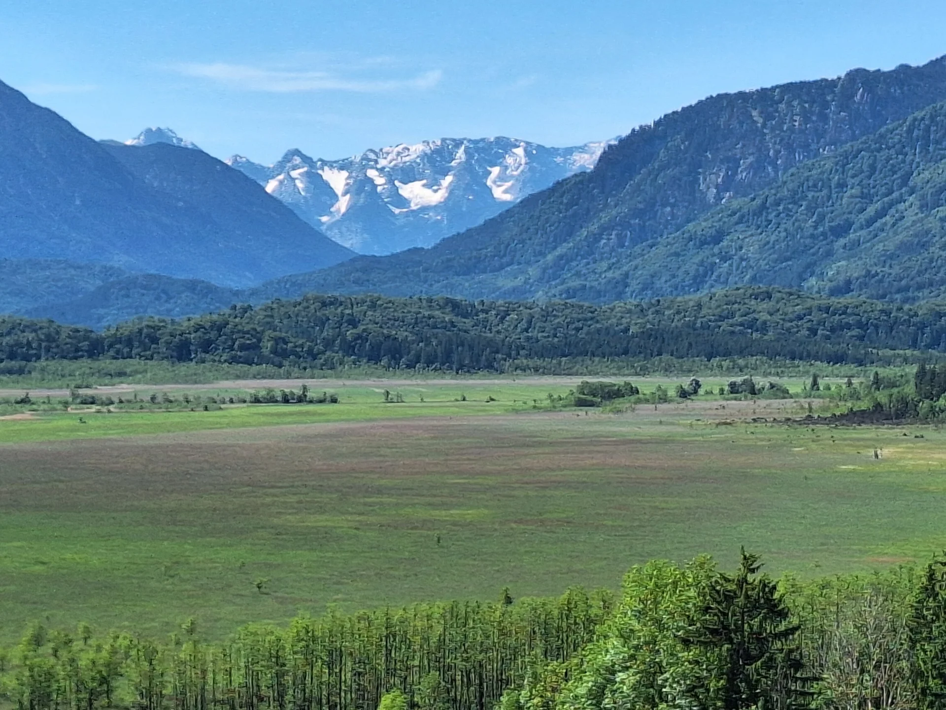 Murnauer Moos | © DAV/Barbara Löffler