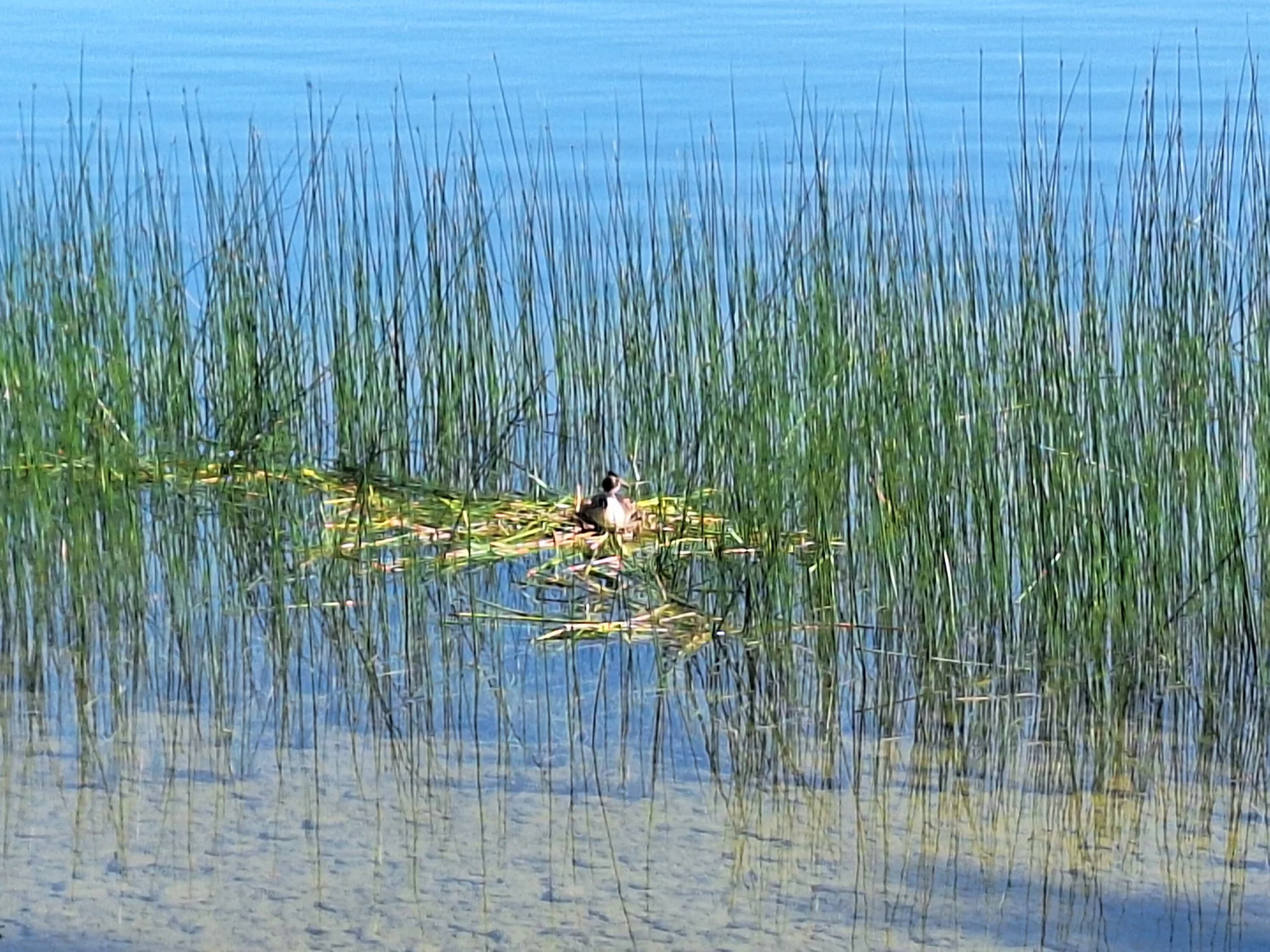 Weg zum Murnauer Moos | © DAV/Barbara Löffler