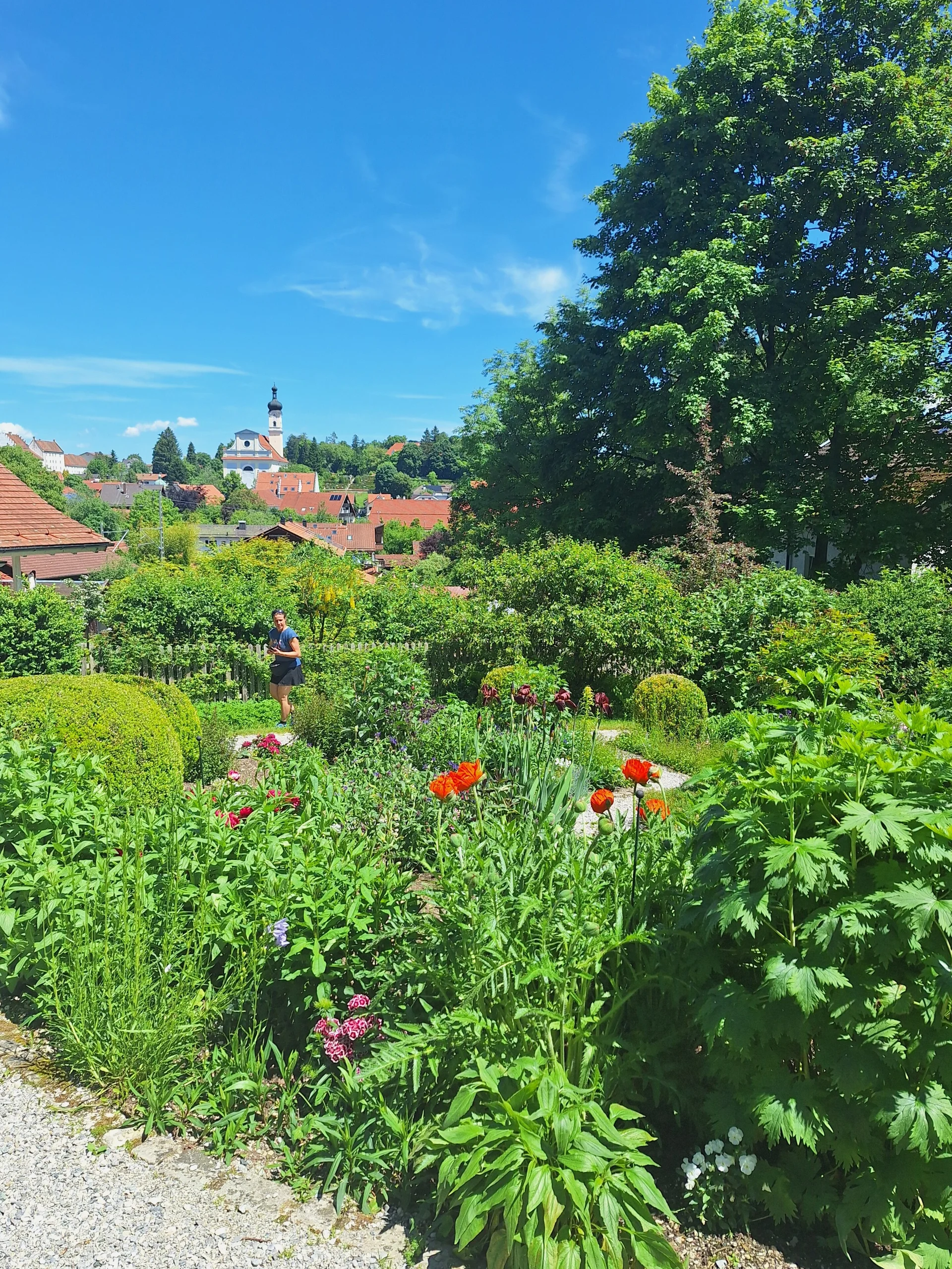 Blick vom Münter-Haus auf Murnau | © DAV/Barbara Löffler