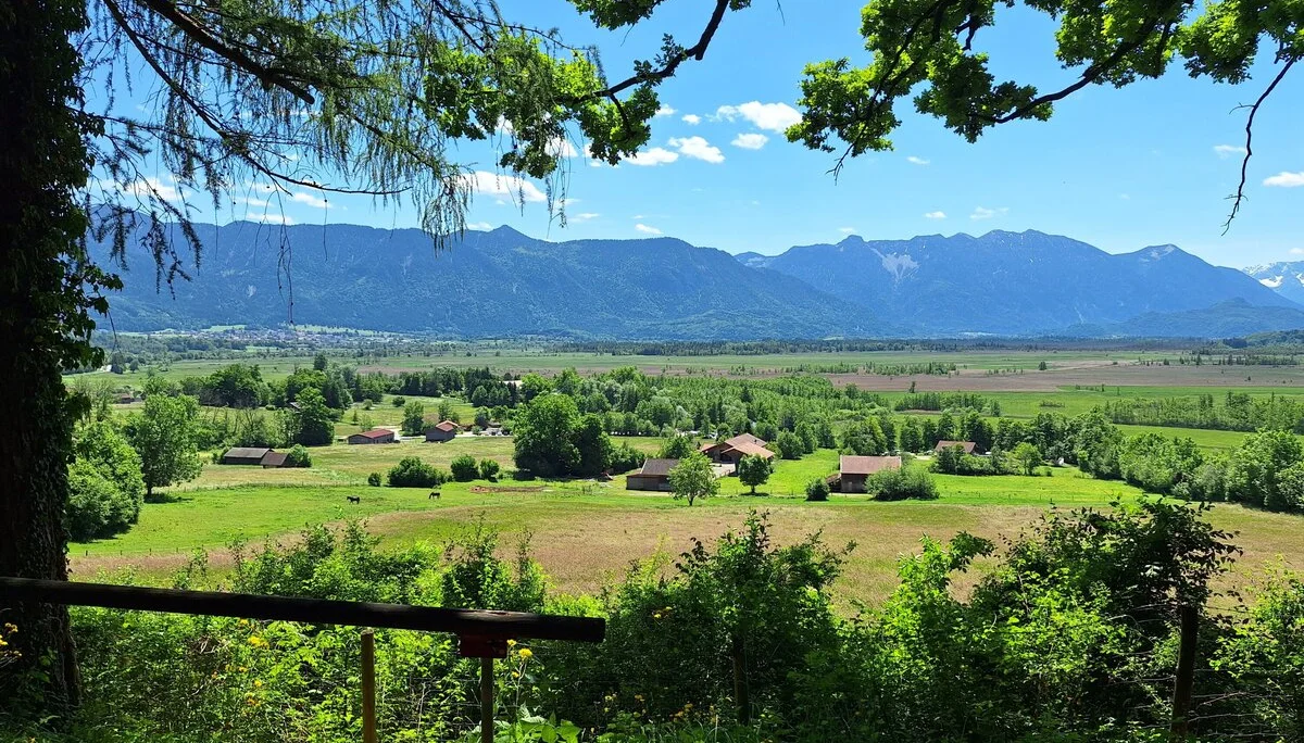 Murnauer Moos | © DAV/Barbara Löffler