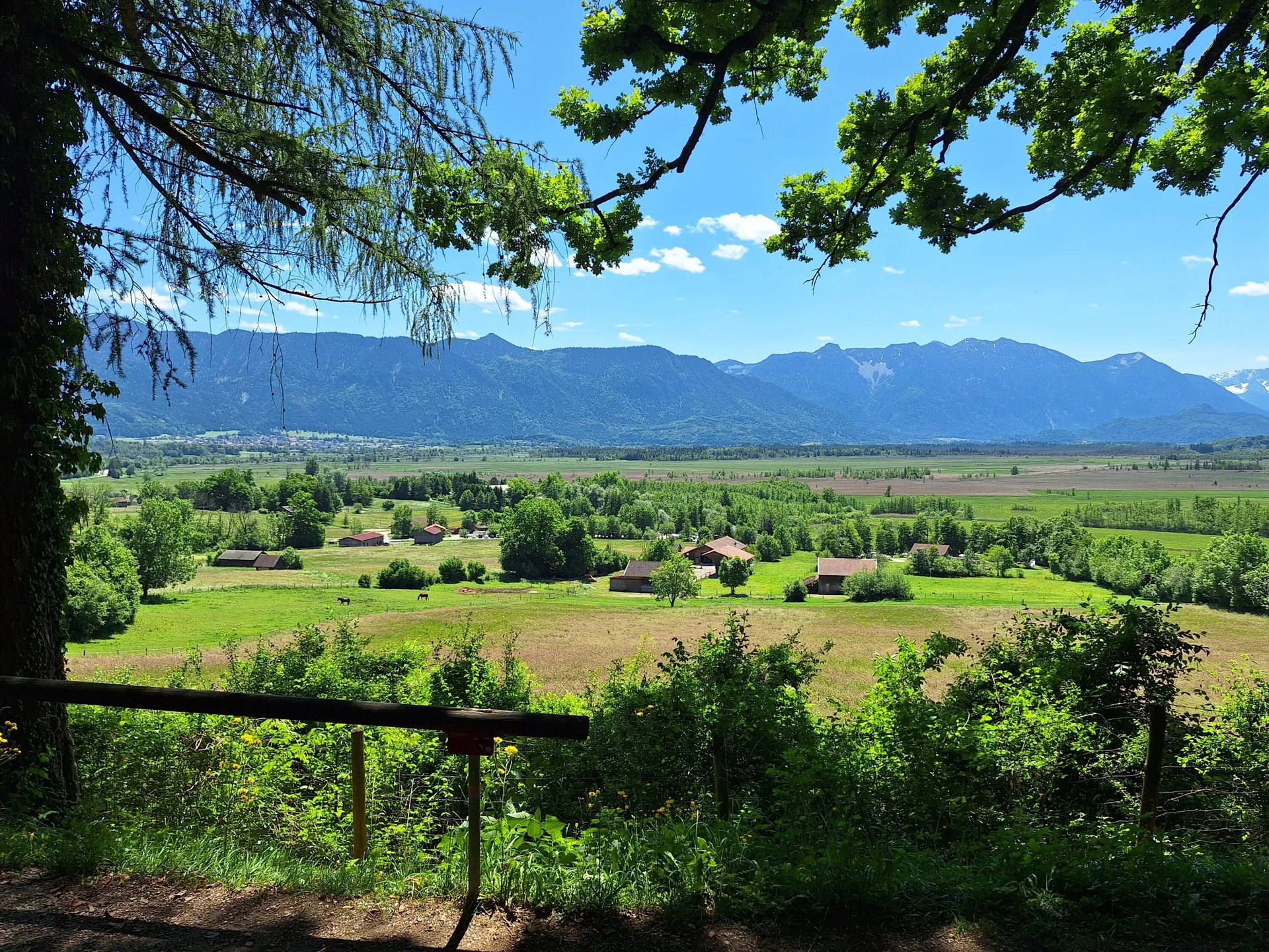 Murnauer Moos | © DAV/Barbara Löffler