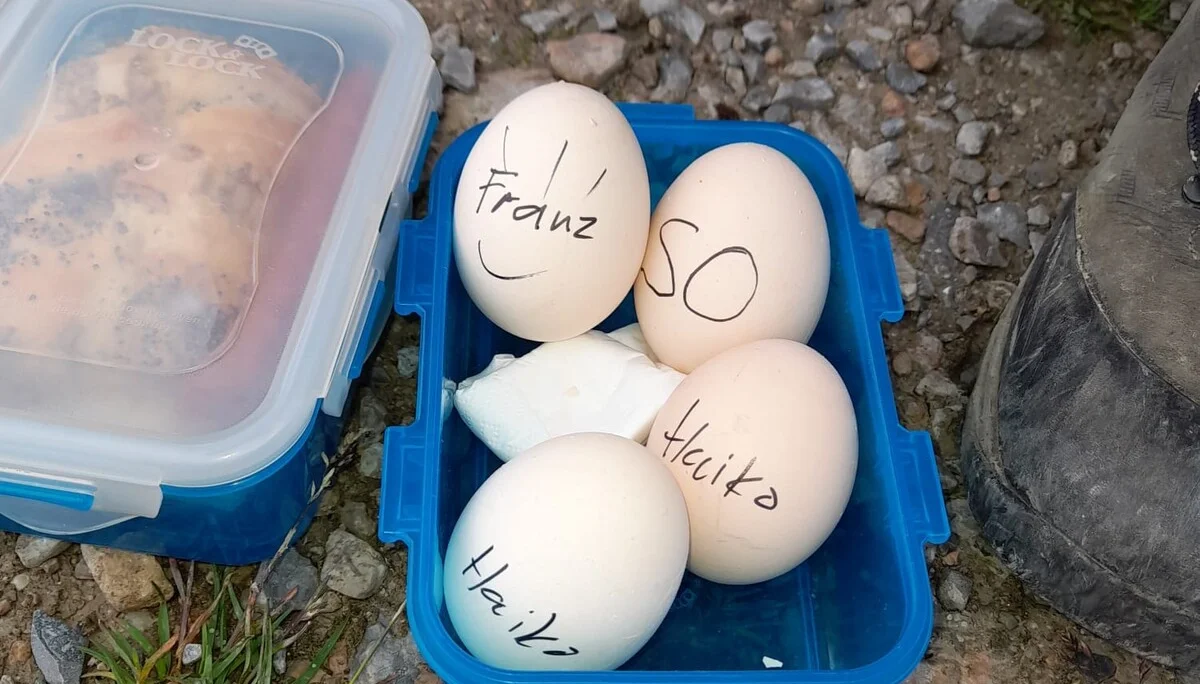 Die tägliche Eier-Ration für Franz und Haiko | © Franz Plha