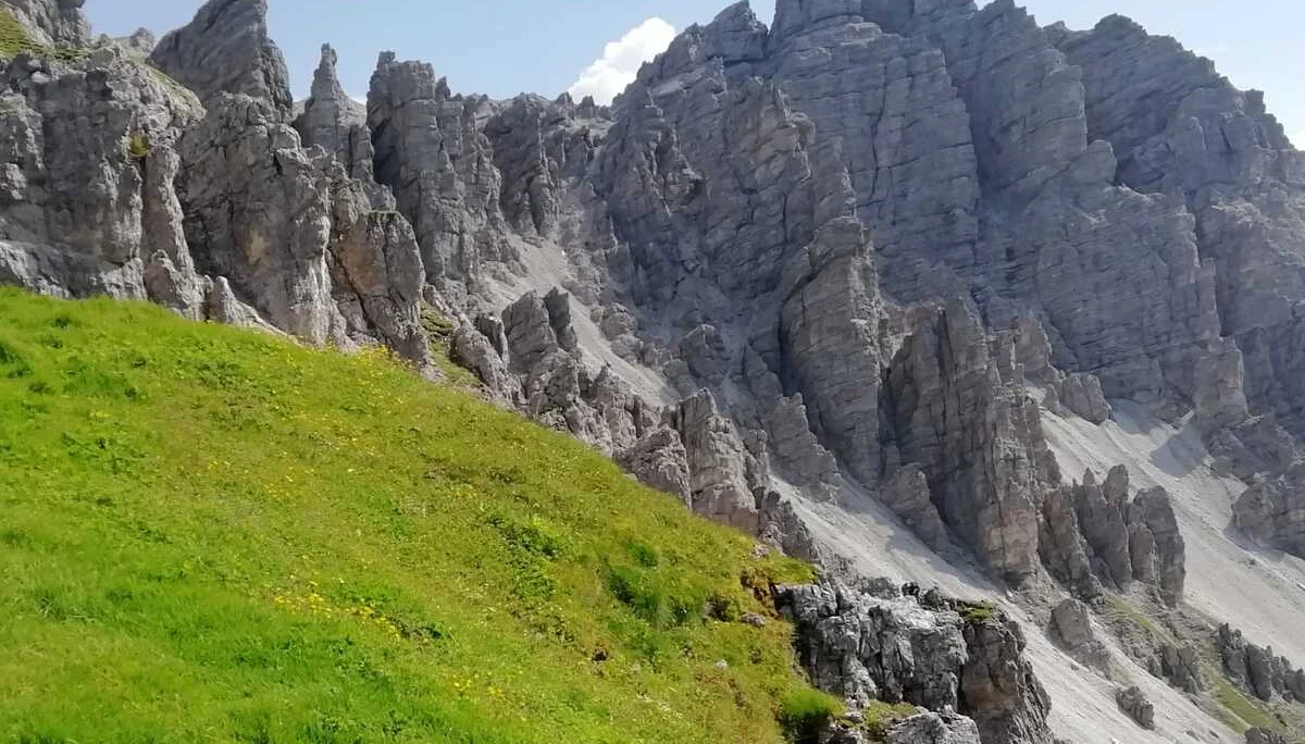 © Hanns-Peter Rehle