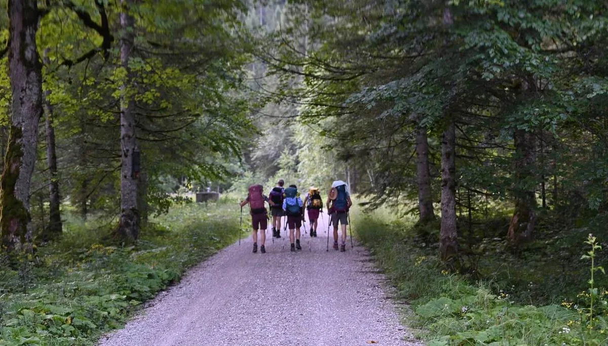 Weg zur Bleckenau | © DAV/Markus Stumpe