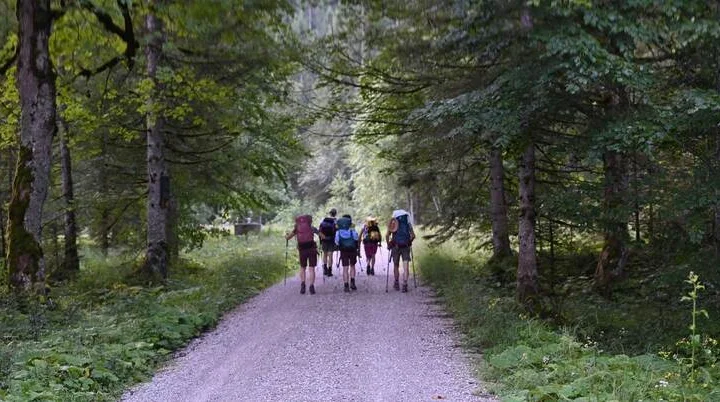 Weg zur Bleckenau | © DAV/Markus Stumpe