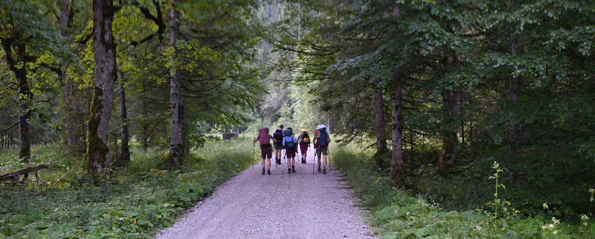 Weg zur Bleckenau | © DAV/Markus Stumpe