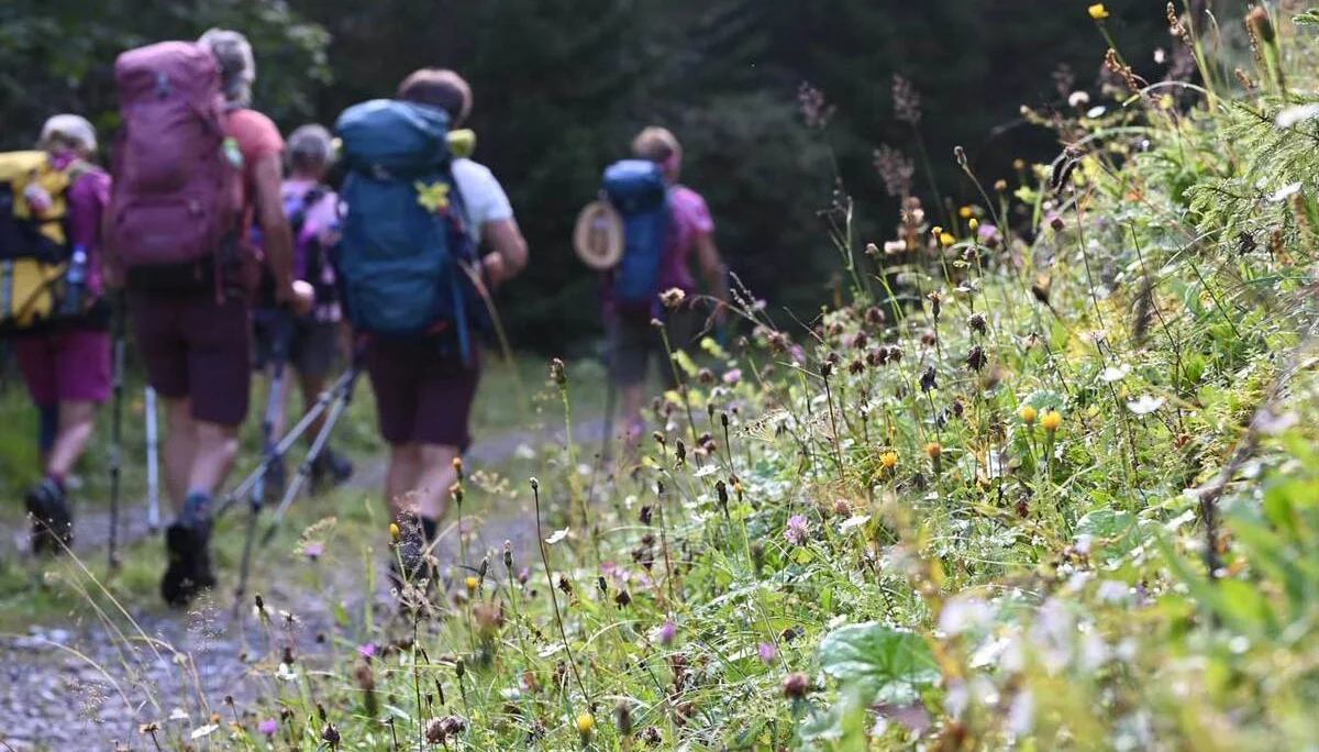 © DAV/Markus Stumpe