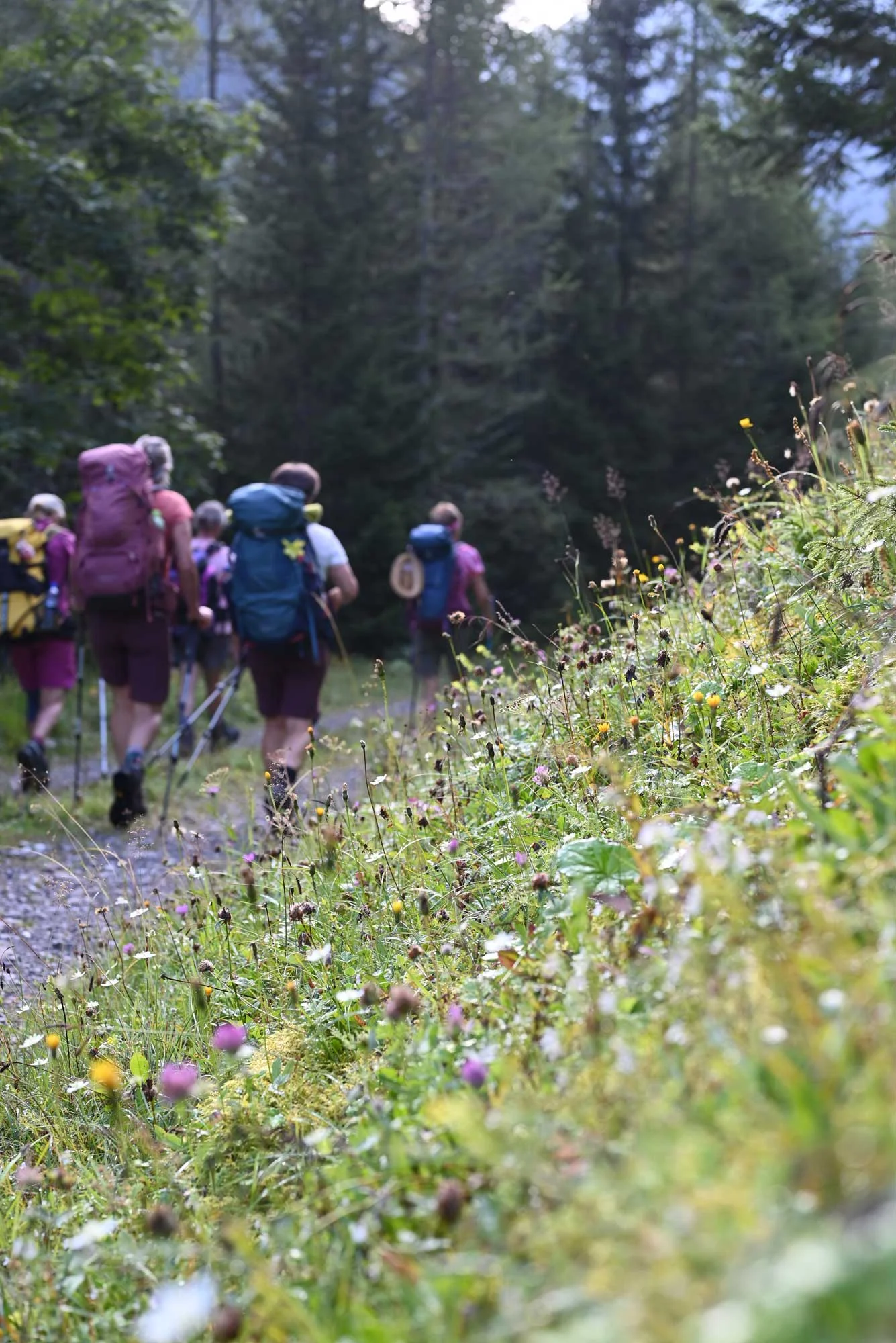 © DAV/Markus Stumpe