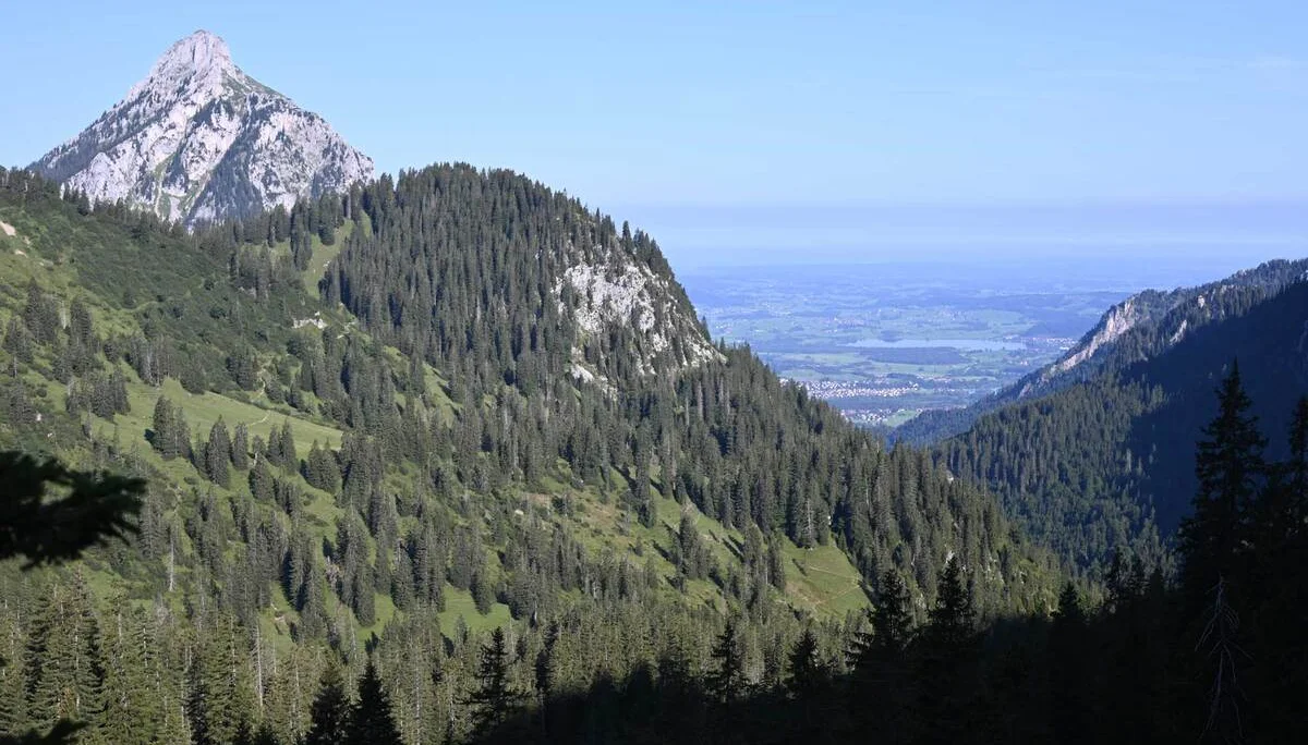 Blick auf den Säuling | © DAV/Markus Stumpe