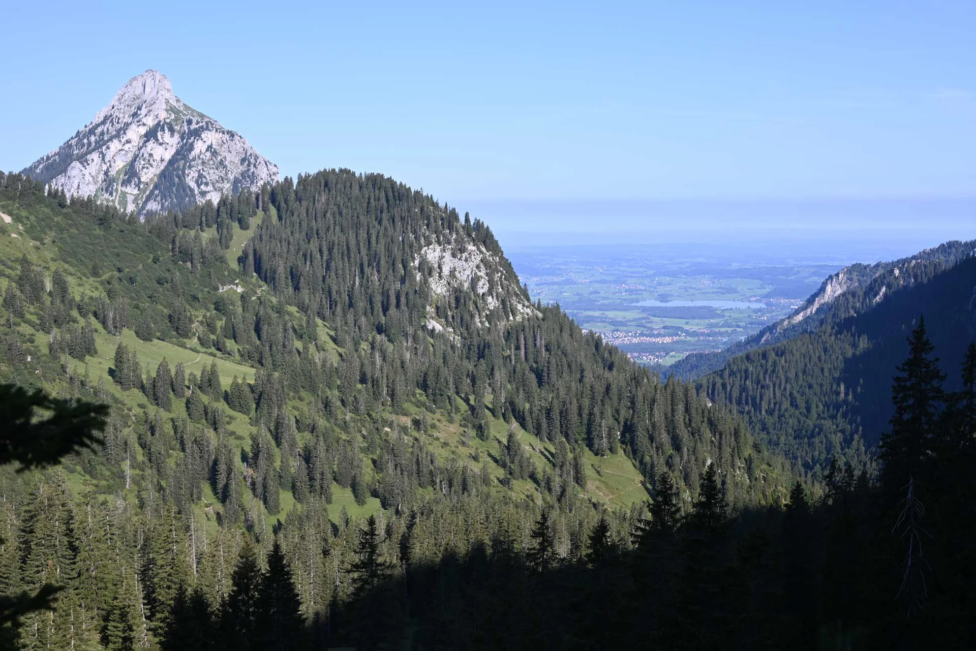 Blick auf den Säuling | © DAV/Markus Stumpe