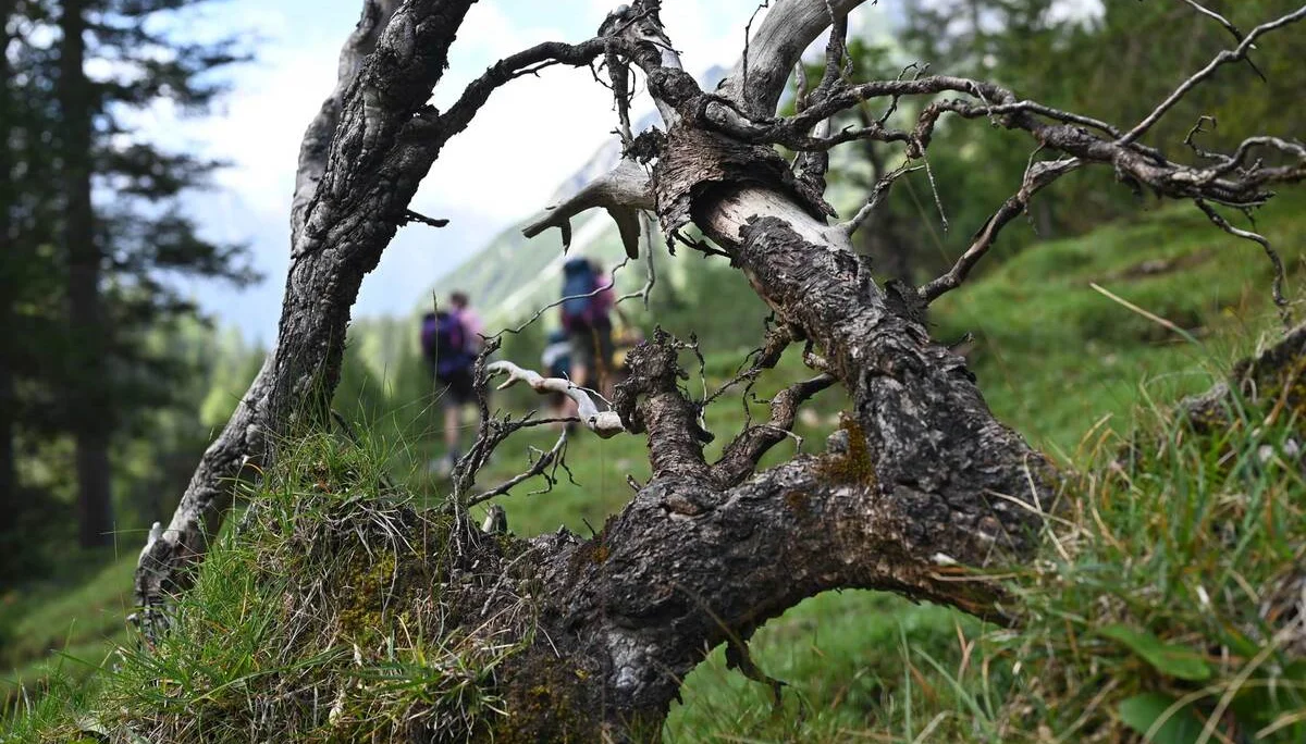 © DAV/Markus Stumpe