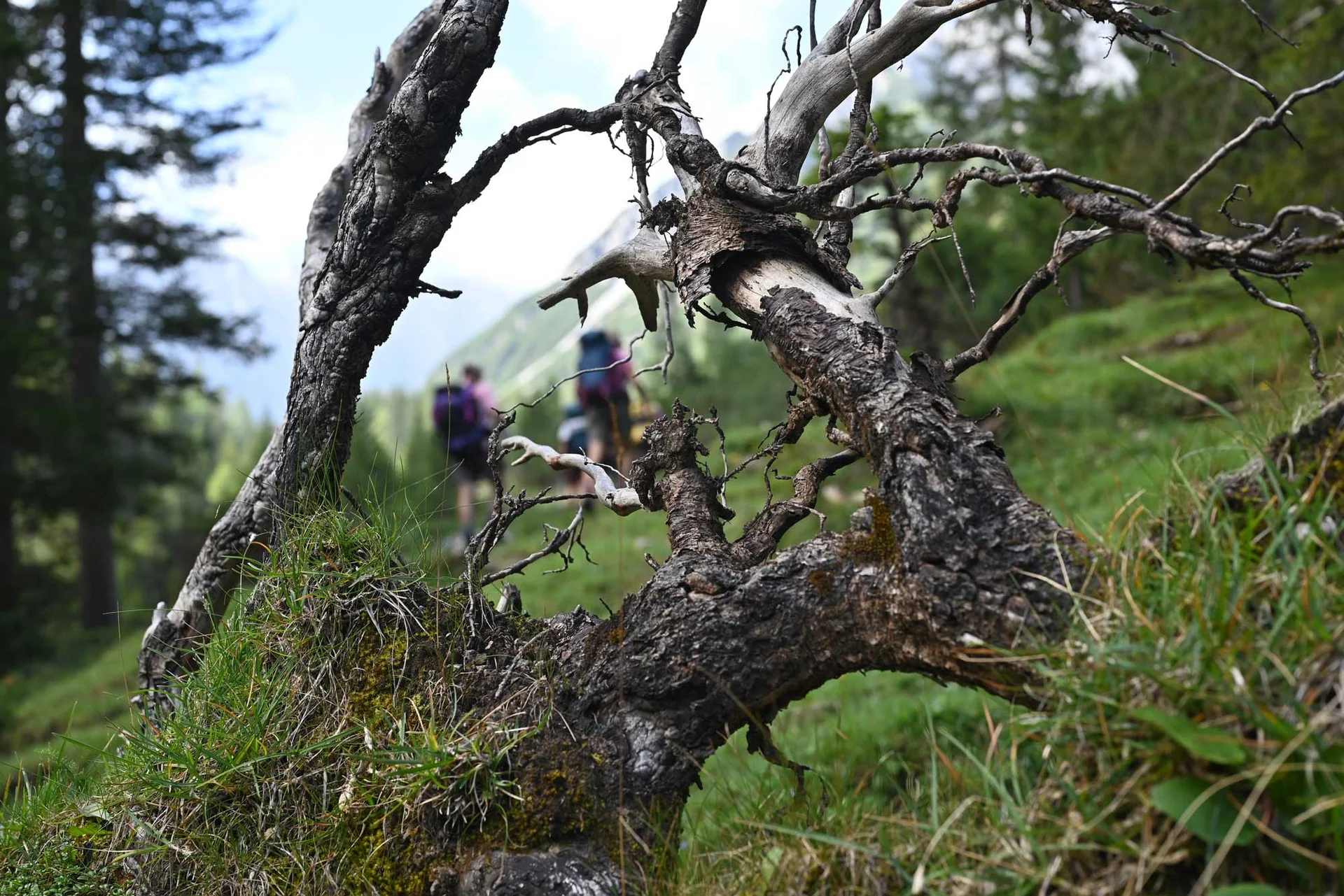 © DAV/Markus Stumpe