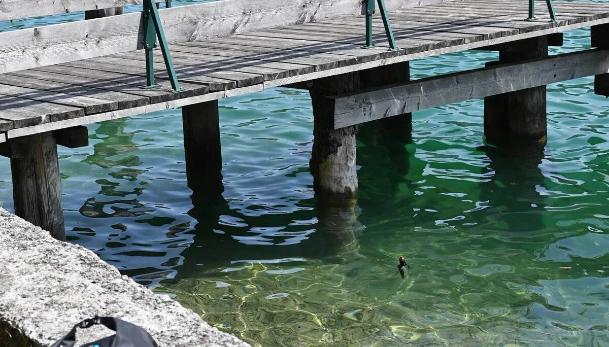 Plansee | © DAV/Markus Stumpe