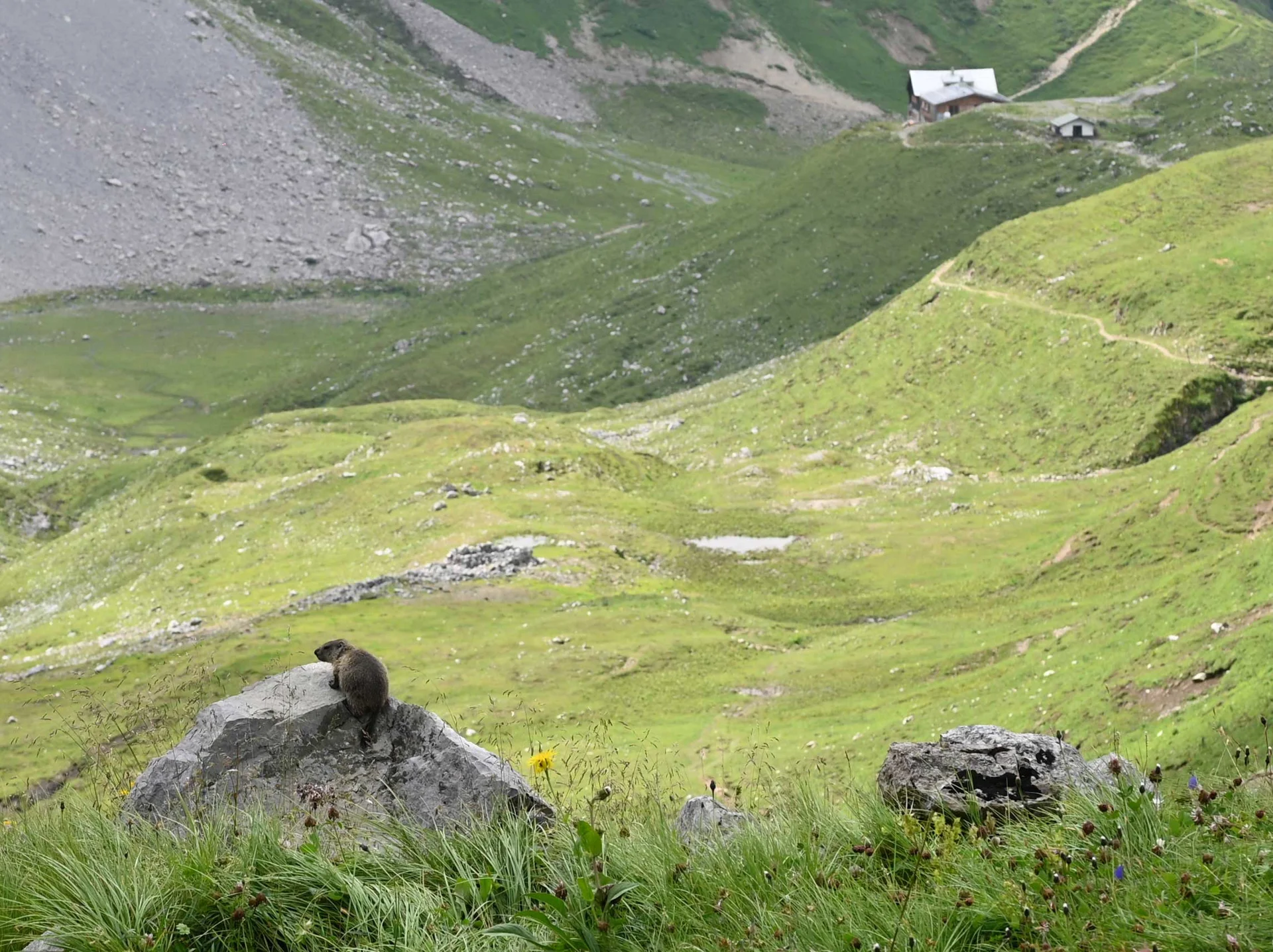 Weg zur Anhalter Hütte | © DAV/Markus Stumpe