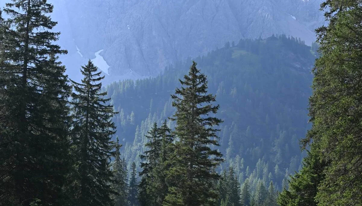 Tegestal | © DAV/Markus Stumpe