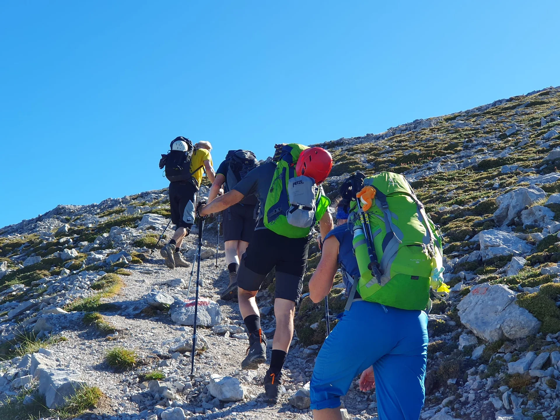 Einige Teilnehmer im Aufstieg zum Großen Solstein | © Max Bollwein